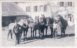 Bière VD, Présentation Des Chevaux Devant La Ferme (60905) Photo Jotterand - Bière