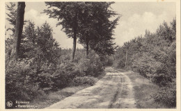 CP De Rijmenam Harentstraat - Bonheiden