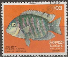 SRI LANKA 1972 Fish - 3c. - Green Chromide FU - Sri Lanka (Ceylan) (1948-...)