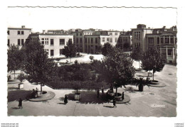 69 LYON 3ème Hôpital E. Herriot Cour D'Honneur N°69 999 61 Arbres En Pots - Lyon 3