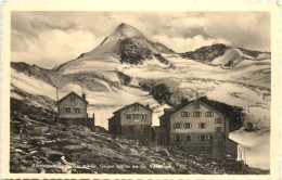 Kürsingerhütte - Obersulzbachtal - Zell Am See