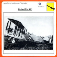 Fiche Aviation Westland WALRUS  / Avion Reconnaissance Et Observation UK  Avions - Airplanes