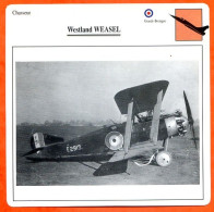 Fiche Aviation Westland WEASEL   / Avion Chasseur UK Avions - Airplanes