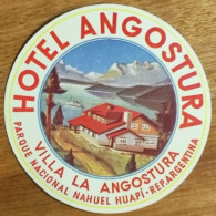 Argentina Nahuel Huapí's National Park Villa La Angostura Hotel Label Etiquette Valise - Etiquetas De Hotel