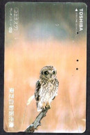 Japan 1V Owl Toshiba Advertising Used Card ( Bended In Middle ) - Selva