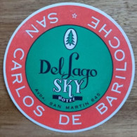 Argentina Bariloche Del Lago Sky Hotel Label Etiquette Valise - Etiquetas De Hotel