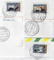 Brazil 1999 3 Shipped Cover With Definitive Stamp RHM-760 Moxotó Goat 762 Junqueira Ox 763 Brazilian Terrier Dog - Covers & Documents