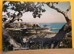 (T1) TROPEA (VIBO VALENTIA) PANORAMA - VIAGGIATA - Altri & Non Classificati