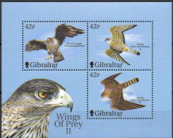 Gibraltar Oiseaux - Birds - Vogels 2000 XXX - Gibraltar