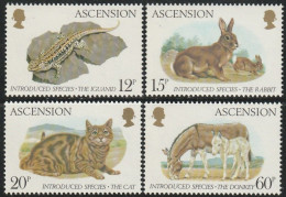 THEMATIC FAUNA:  INTRODUCED SPECIES. IGUANID, COMMON RABBIT, CAT, DONKEY     -  ASCENSION - Other & Unclassified