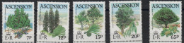 Arbres- Trees -Bomen  XXX 1982 - Ascension