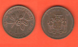 Jamaica Giamaica 1 Cent 1973 FAO - Jamaica