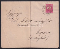 1887 5kr Nyomtatványon "SZENT-GÁL / VESZPRÉM M." - Otros & Sin Clasificación