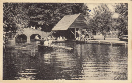 CP De Liezele ( Puurs) Hof Schemelbert Brug Met Boothuis En Steiger - Puurs