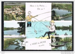 Allons à La Pêche à Vert Le Petit - Timbre France ( 2 Scans ) - Vert-le-Petit