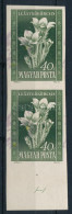 ** 1950 Virág I. 40f Vágott ívszéli Pár Látványosan Elcsúszott Lila és Sárga Színnyomattal - Otros & Sin Clasificación