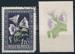 ** 1950 Virág I. 1,70Ft Vágott Fázisnyomat A Virág Színeivel + Támpéldány - Otros & Sin Clasificación