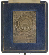 Pincés Puder István (1907- ?) 1933. "Budapest Sport Egyesület Jubiláris Érme - BSE 1913-1933" Ezüstözött Bronz Díjplaket - Zonder Classificatie