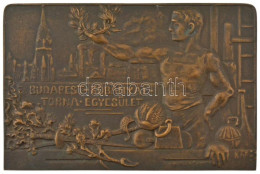 ~1922(?) "Budapest-Kőbányai Torna Egyesület" Nagyméretű, Egyoldalas, Bronz Lemezplakett. Szign.: Kapás (201x132mm) T:AU - Sin Clasificación