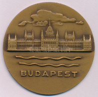 1971. "Budapest" Egyoldalas Bronz Emlékérem, Hátoldalán "Magyarország-Ukrajna Válogatott Atlétikai Viadal, Budapest 1971 - Sin Clasificación