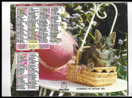 Almanach  Calendrier  P.T.T  - La Poste - 1991 -  Chat Et Chien - Autres & Non Classés