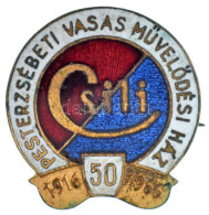 1966. "Pesterzsébeti Vasas Művelődési Ház - Csili 50. évfordulója 1916-1966" Zománcozott, Aranyozott Bronz Jelvény (18x1 - Sin Clasificación