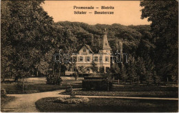 T2 1916 Beszterce, Bistritz, Bistrita; Sétatér. Stolzenberg F. Kiadása / Promenade / Promenade, Park, Villa - Ohne Zuordnung