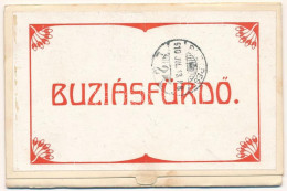 T2/T3 1910 Buziásfürdő, Baile Buzias; 6-részes Kihajtható Leporellólap / 6-tiled Folding Leporellocard, Spa - Ohne Zuordnung