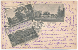 T2/T3 1901 Csákigorbó, Garbou; Haller Kastély, Jósika Kastély Szurdukban / Castle, Castle In Surduc. Art Nouveau, Floral - Unclassified