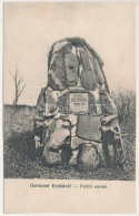 T3/T4 1918 Erdőd, Károlyierdőd, Ardud (Szatmár); Petőfi Emlék / Monument (r) - Unclassified