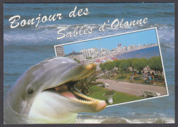 121187/ Dauphin, Bonjour Des Sables D'Olonne - Dolphins