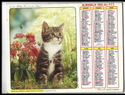 Almanach  Calendrier  P.T.T  - La Poste - 1985 -  Chats - Other & Unclassified