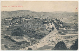 T3 Temesfő, Weidenthal, Brebu Nou, Vaidental; Látkép / General View (fa) - Non Classificati