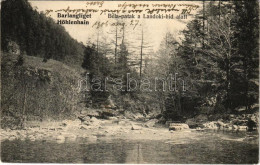 T2/T3 1906 Barlangliget, Höhlenhain, Tatranská Kotlina (Tátra, Magas-Tátra, Vysoké Tatry); Béla-patak A Landoki Híd Alat - Unclassified