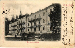 T2/T3 1901 Bártfa, Bártfafürdő, Bardejovské Kúpele, Bardiov, Bardejov; Széchenyi Szálloda. Eschwig Ede F. Kiadása, Hajts - Ohne Zuordnung