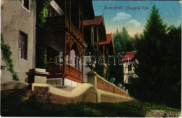 T2/T3 1916 Stószfürdő, Stoósz-fürdő, Kúpele Stós; Hungária Villa. Wlaszlovits Gusztáv Kiadása / Villa (EK) - Ohne Zuordnung