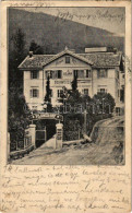 * T3 1907 Abbazia, Opatija; Dejak's Pilsner-Hof Schweizerhof / Hotel (Rb) - Non Classificati