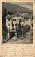 * T3 1907 Abbazia, Opatija; Dejak's Pilsner-Hof Schweizerhof / Hotel (Rb) - Sin Clasificación