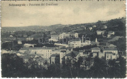 ** T2/T3 Salsomaggiore, Panorama Dal Castellazzo / General View (EK) - Unclassified