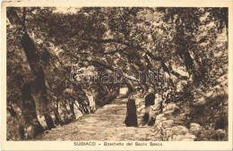 T2/T3 1950 Subiaco, Boschetto Del Sacro Speco / Monastery, Grove (EK) - Unclassified