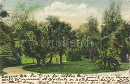 T2/T3 1908 Trinidad, Government Gardens (EK) - Sin Clasificación
