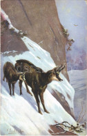 ** T2/T3 Mountain Goats. Photochromiekarte Serie I/6. Artist Signed (EK) - Unclassified