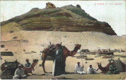 ** T2/T3 A Scene In The Desert. Egyptian Folklore, Camels (EK) - Unclassified