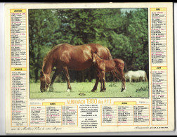 Almanach  Calendrier  P.T.T  -  La Poste -  1980 -  Chevaux - - Sonstige & Ohne Zuordnung