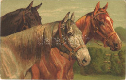 * T2/T3 1921 Horses. Wenau-Pastell No. 949. (EK) - Non Classificati