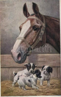 * T2 Horse With Dogs, M. Munk, Wien, Nr. 1169 - Zonder Classificatie