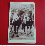 PHOTO COUPLE MAURESQUE SUR CHAMEAUX - Africa