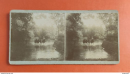 PHOTO STEREO ABREUVOIR DE LA FERME DE CHÉTIF PUITS 1910 - Stereoscopio