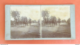 PHOTO STEREO GRANDES MANŒUVRES MILITAIRES CHEVAUX - Stereoscopic