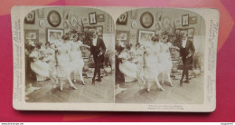 LE MAÎTRE À DANSER FRANÇAIS - Stereoscopes - Side-by-side Viewers